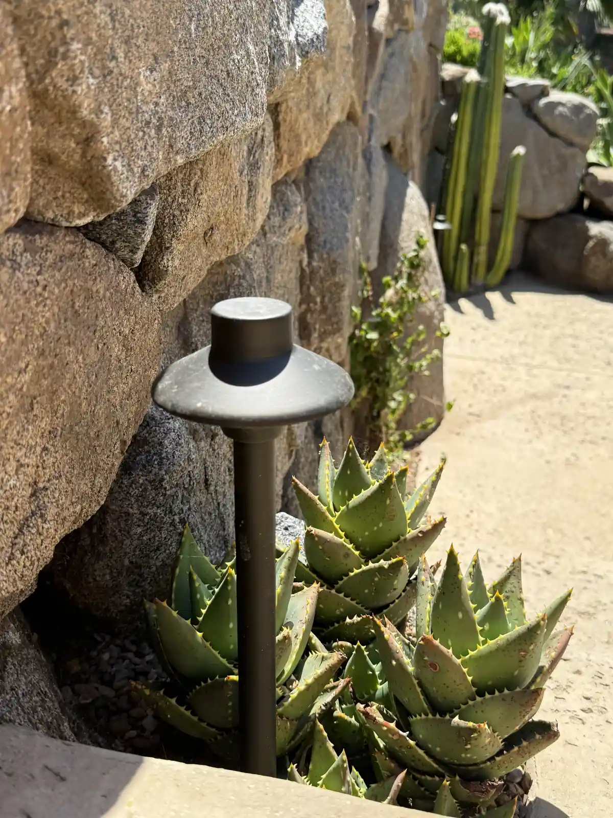 Landscape Lighting project in San Diego County by Panjia Outdoors