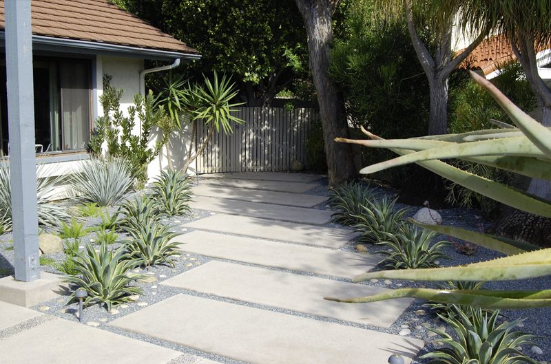 Modern walkway with succulents and stepping stones San Diego CA Panjia Outdoors